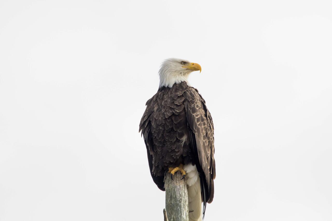 Eagles View Condo In Ocean Shores With 3 Balconies Zewnętrze zdjęcie