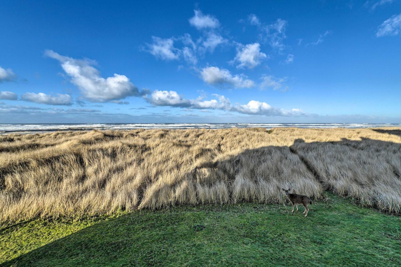 Eagles View Condo In Ocean Shores With 3 Balconies Zewnętrze zdjęcie